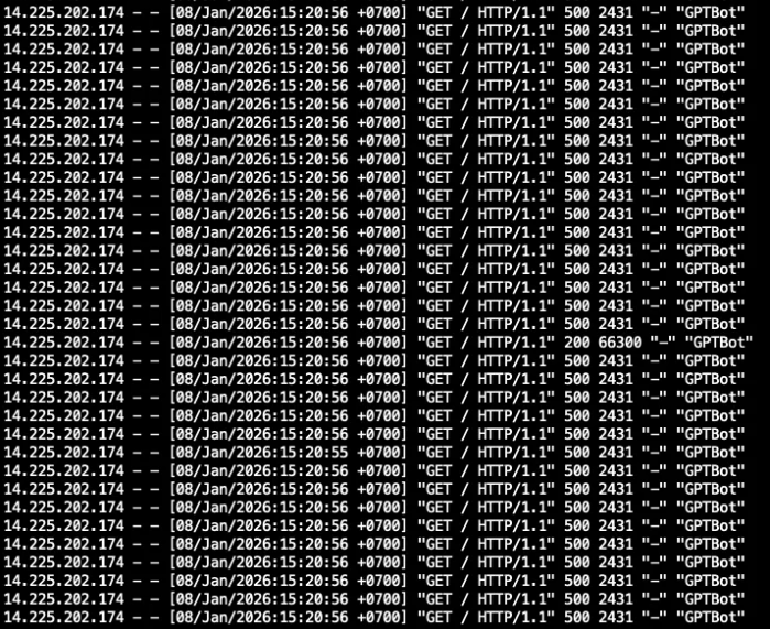 chặn bot, website, SEO